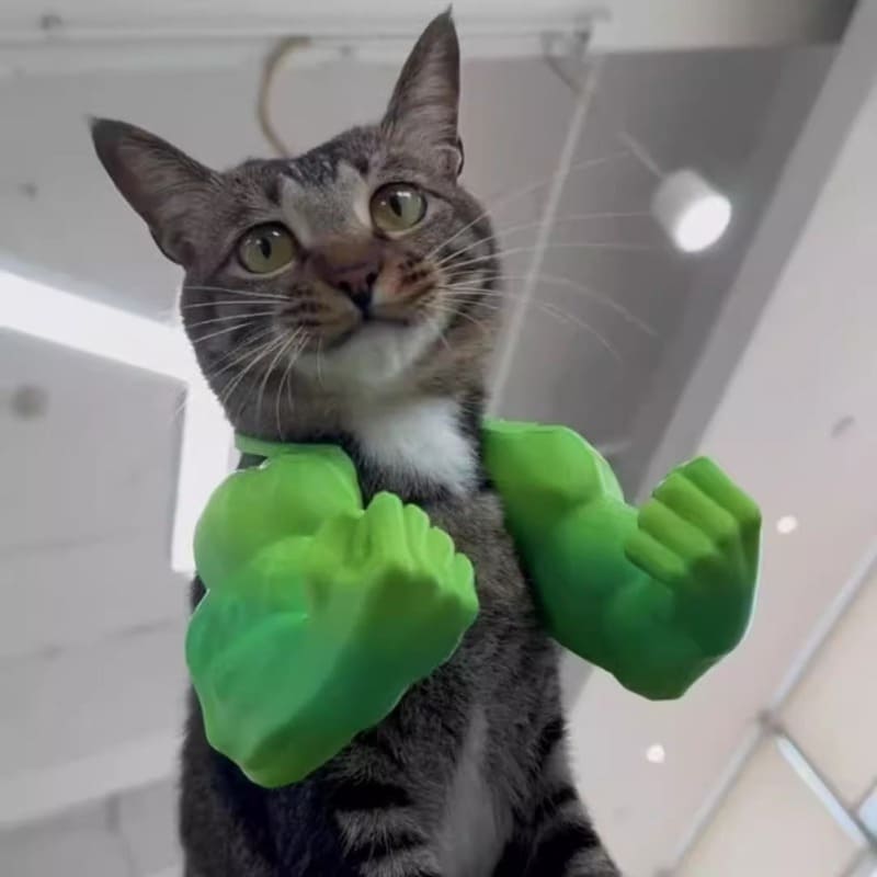 Super Muscle Arm Cat Toy with Moving Muscles - Interactive Posable Arm with Flexing Biceps & Paw Attachment, Durable Plastic Construction for Playtime, Pranks, Photo Shoots - Funny Pet Prop for Cats, All Breeds & Sizes, Halloween Costume Accessory, Superh Tudoushop