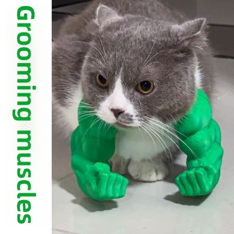 Super Muscle Arm Cat Toy with Moving Muscles - Interactive Posable Arm with Flexing Biceps & Paw Attachment, Durable Plastic Construction for Playtime, Pranks, Photo Shoots - Funny Pet Prop for Cats, All Breeds & Sizes, Halloween Costume Accessory, Superh Tudoushop